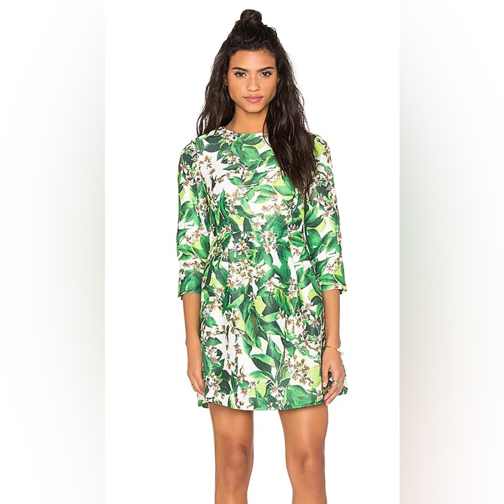 Tuckernuck Blaque Label Longβ Sleeve Print Dress in Green.